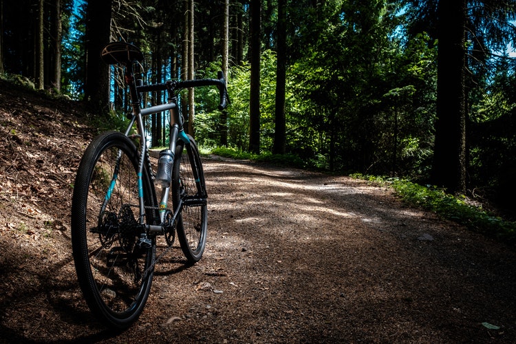 Cycling in Bir